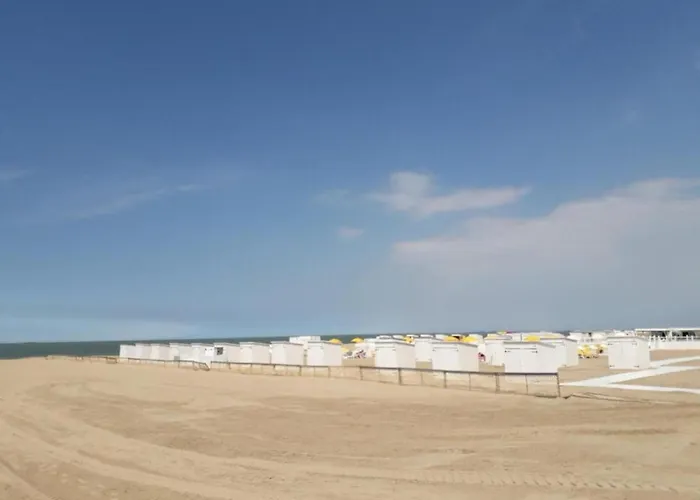 In Near Duinbergen Apartment