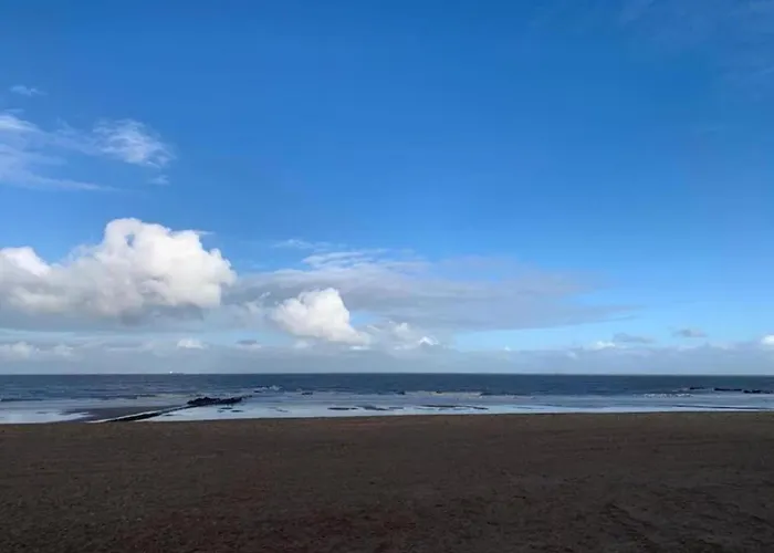 In Near Duinbergen Apartment