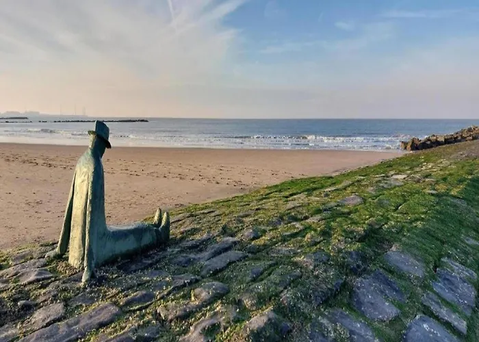 Apartment In Near Duinbergen Knokke-Heist